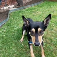 Photo of Toxi