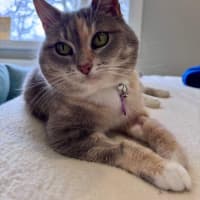 Photo of Susan Uffelman