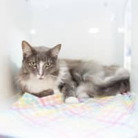 Photo of Aki