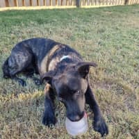 Photo of Maisey