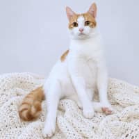 Photo of Clive