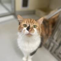 Photo of 🥂 Clicquot 5748 🥂