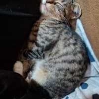 Photo of Boots