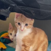 Photo of Roxy & Eggsy