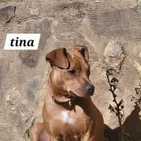 Photo of Tina