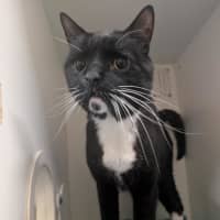 Photo of Albie