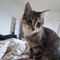 Photo of Francesca