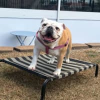Photo of Betty