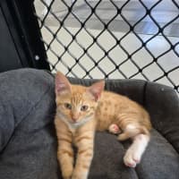 Photo of Huey