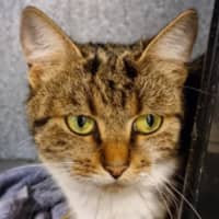 Photo of Mildred
