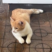 Photo of Olivia O'cleary