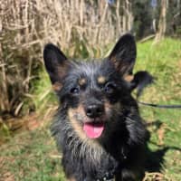 Photo of Buddy*$199!*