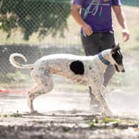 Photo of Spotto