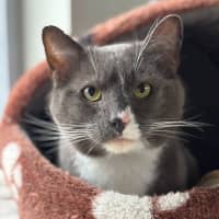 Photo of Doug