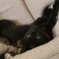 Photo of Wednesday