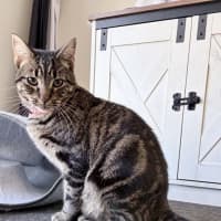 Photo of Charlie