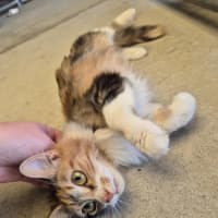 Photo of Maree! 🎀