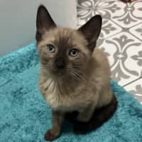Photo of Mia