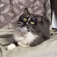 Photo of Coco