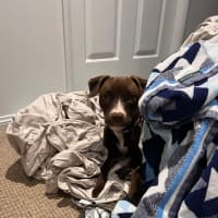 Photo of Peggy