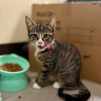 Photo of Tay Tay & Britney 