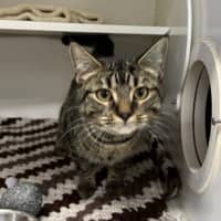 Photo of Junebug