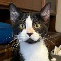 Photo of Clawdia