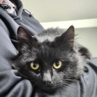 Photo of 🐻 Severus 6267 🐻