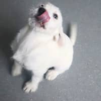 Photo of Sandy