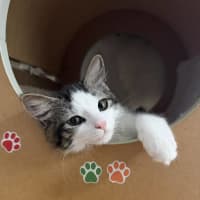 Photo of 🧚Elfina🧚‍♂️