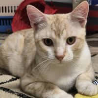 Photo of Lucky And Blue