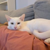 Photo of Cloud