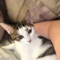 Photo of Francesca