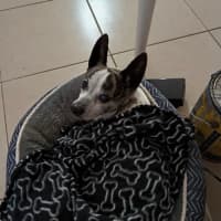 Photo of Sunny And Pj 