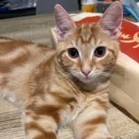 Photo of Gabriel Xenos