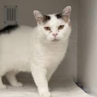 Photo of Pud