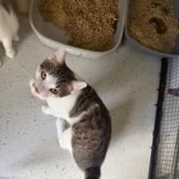 Photo of Juni