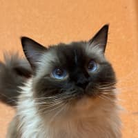 Photo of Lacie