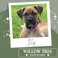 Photo of Illy
