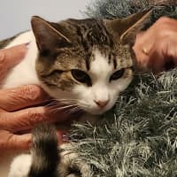 Photo of Tilly