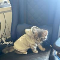 Photo of Maurice 💙