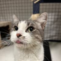 Photo of Mimi