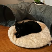 Photo of Maddy