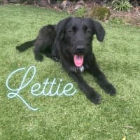 Photo of Lettie