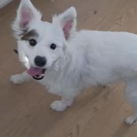 Photo of Kasper