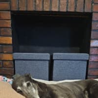 Photo of Flame