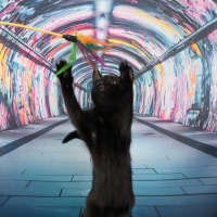 Photo of The Riddler