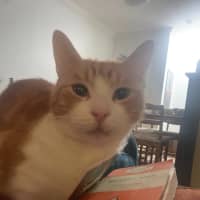 Photo of Fred
