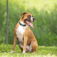 Photo of Bucky