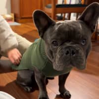Photo of Nigel